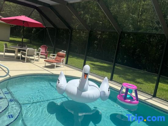 Beautiful Pool Home near the I95 Exit 284