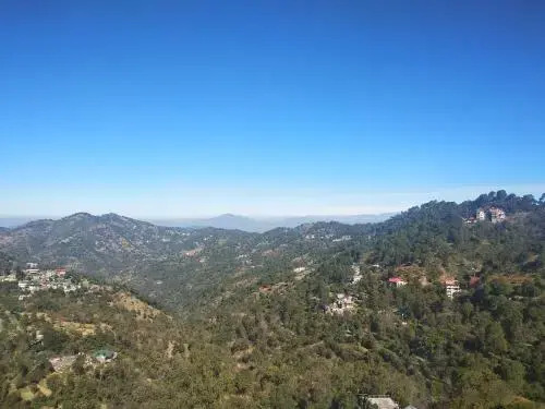 Orchid Kasauli