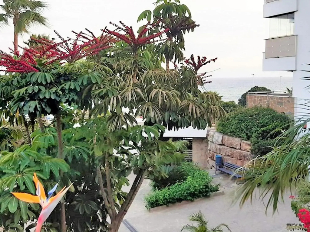 Sunny Garden Apartment