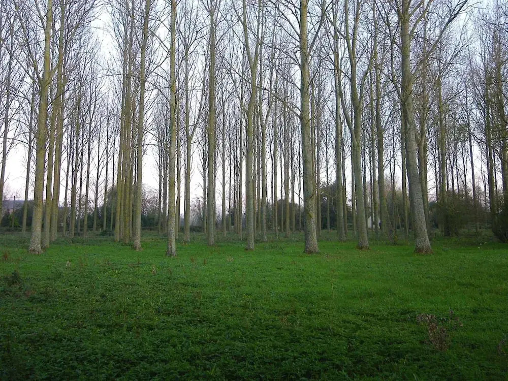 La Ferme De Tigny