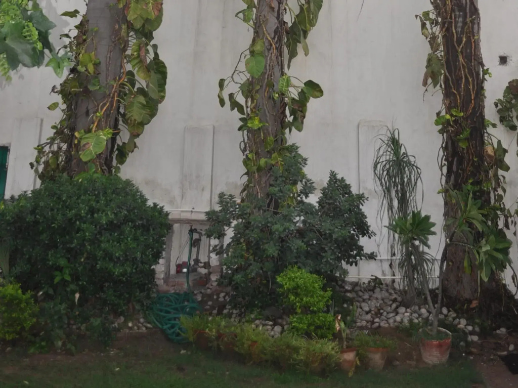 Hotel Kabli