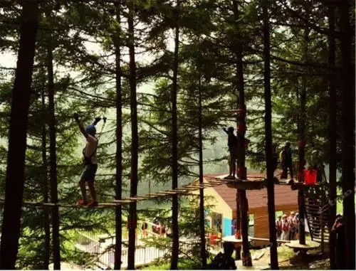 Zhangjiakou Dolomiti White Birch Hotel