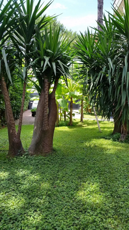 Il Giardino di Giulia 2