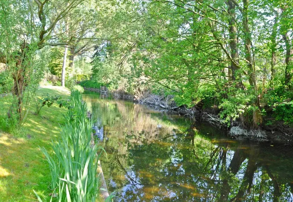 Ferienhaus Rheinsberg SEE 8701