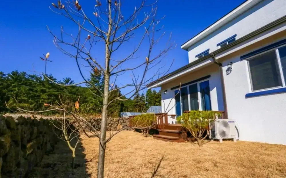 Seogwipo Morning Star Pension