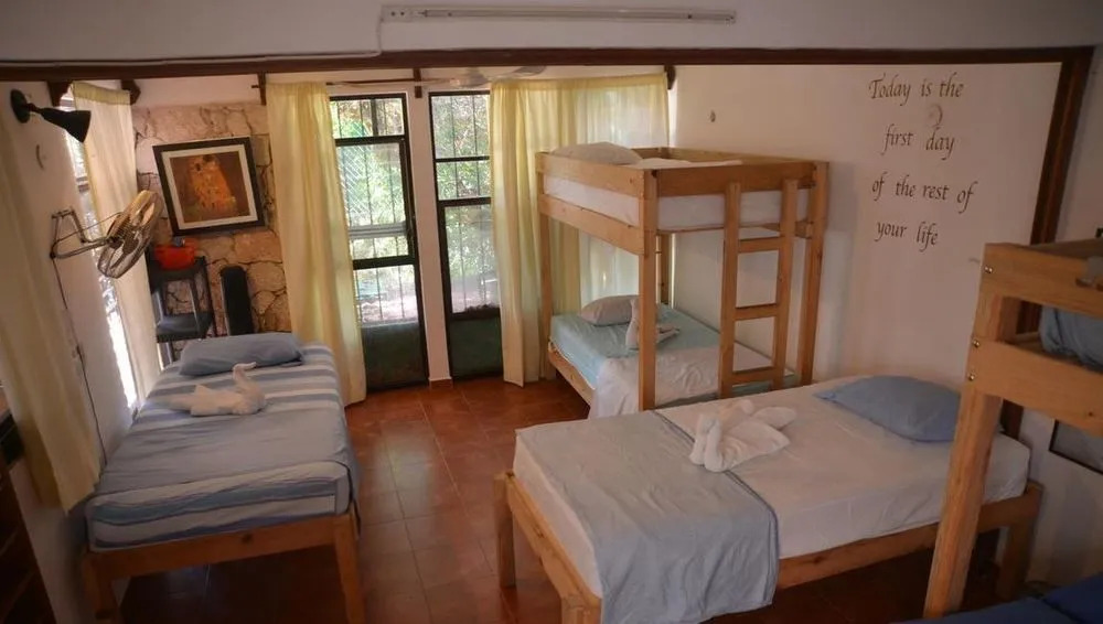 Bed and Breakfast Garden