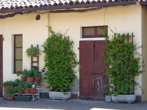 Il Sole Del Borgo