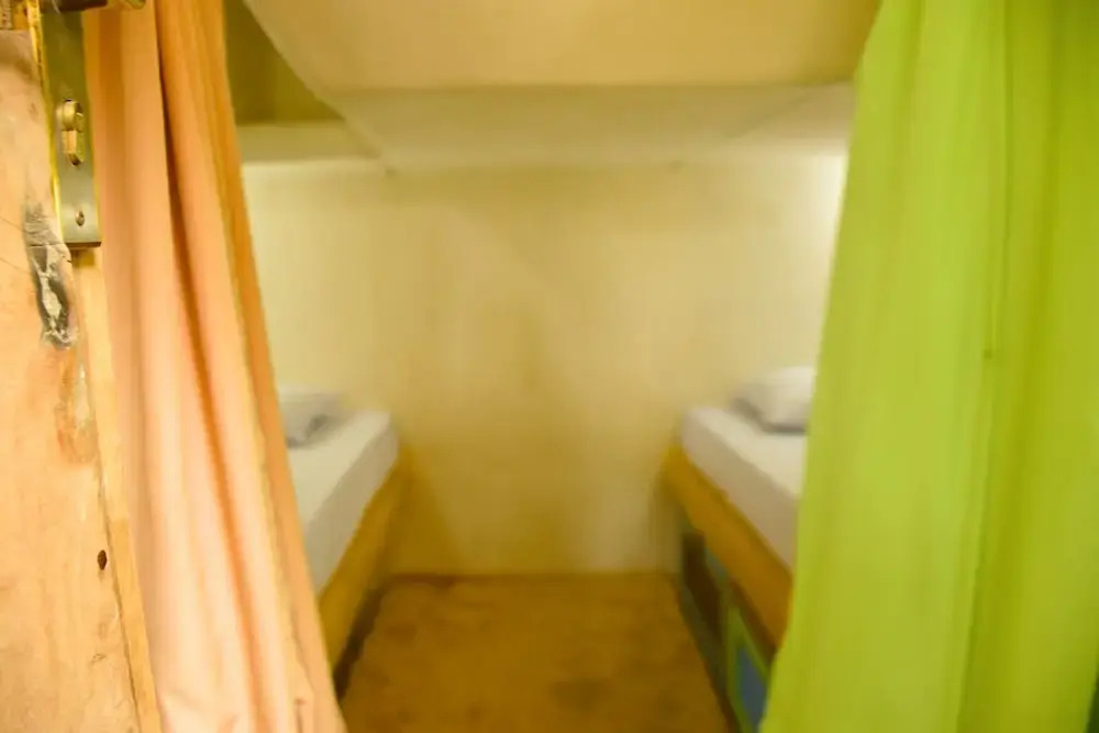 The Rabbit Tree Hostel