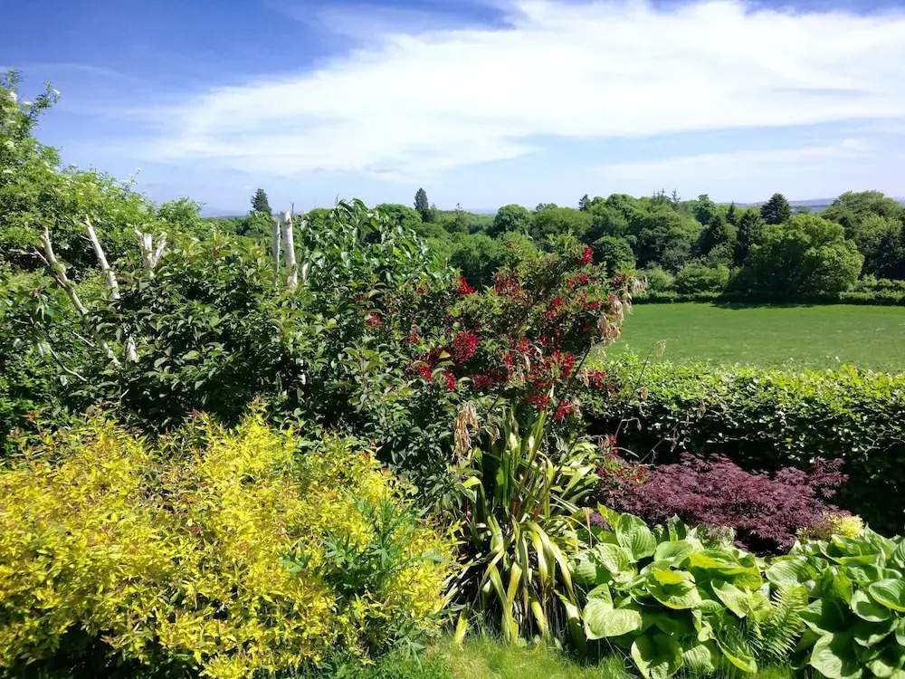 Bowden House B&B