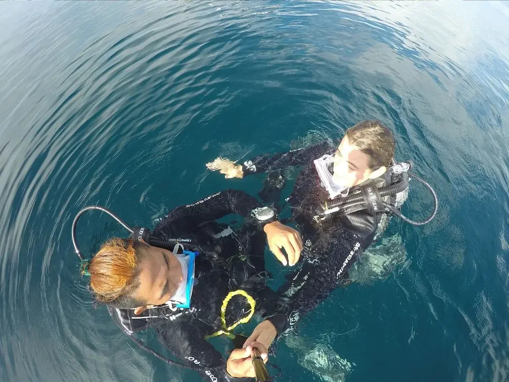 The Sharks Tail Dive Resort