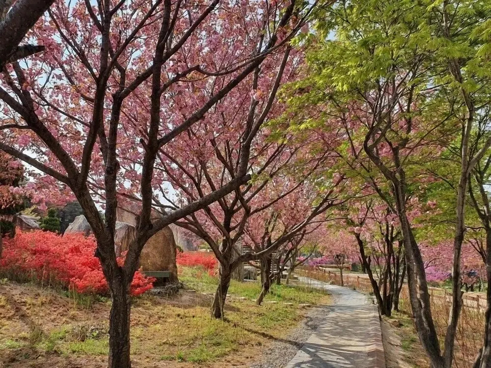 Cheoksan Hot Spring