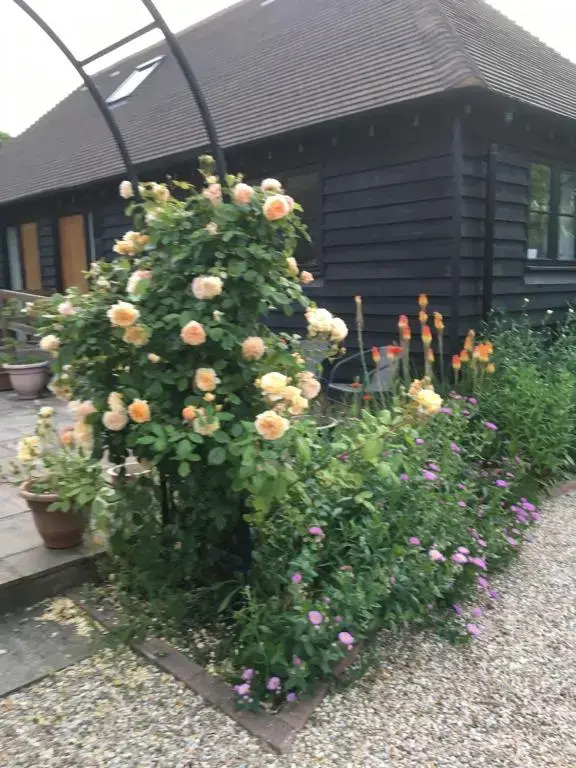 Little Orchard Cottage