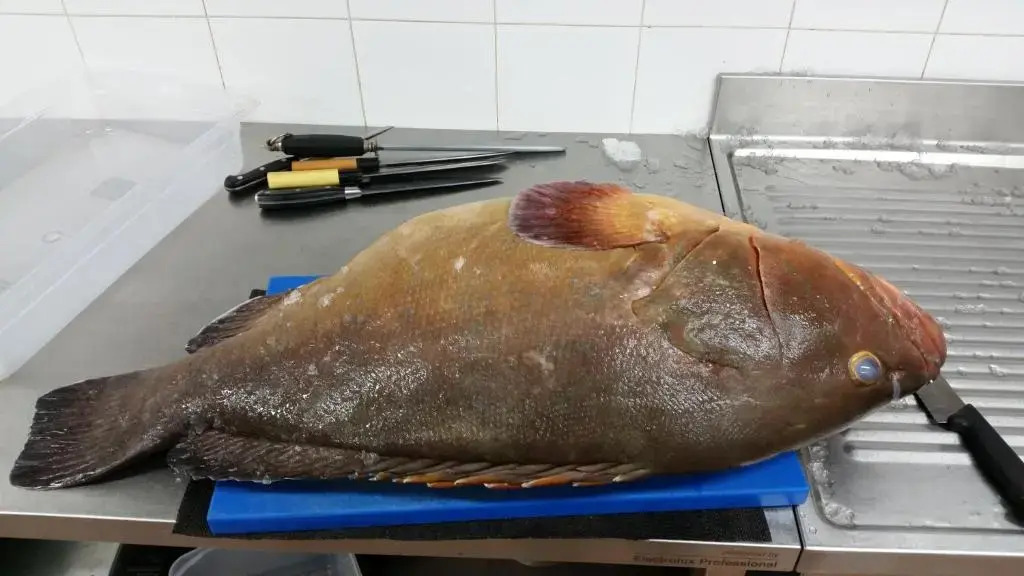 Sapposenteddu Affittacamere del Ristorante da Stefano