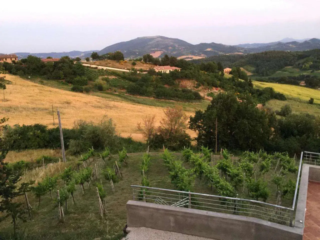Green B&B Urbino Cá del vento