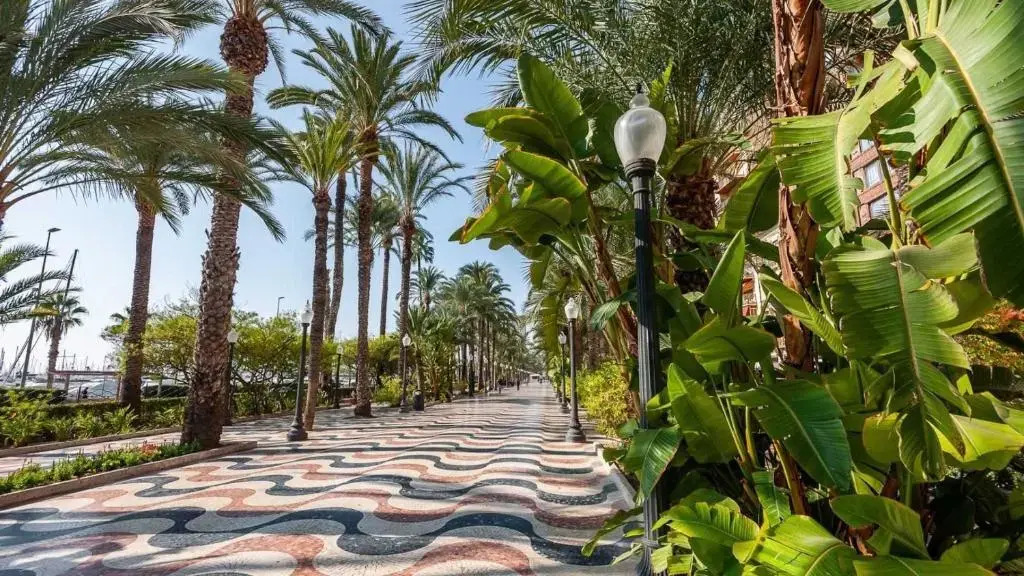 1 Bedroom Studio Apartment Nice and Modern Ideal for the Beach and City Centre