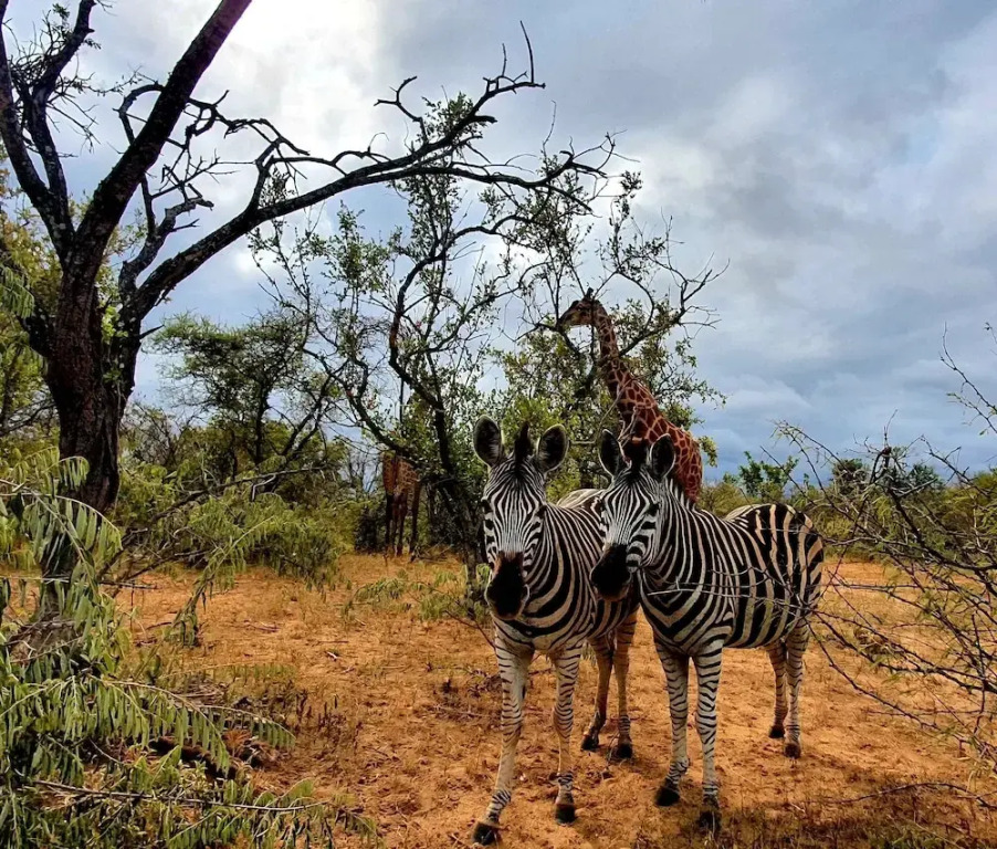 Blyde River Wilderness Lodge