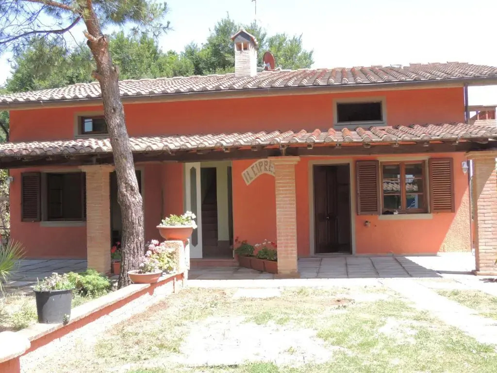 Il Cipresso del Gallo