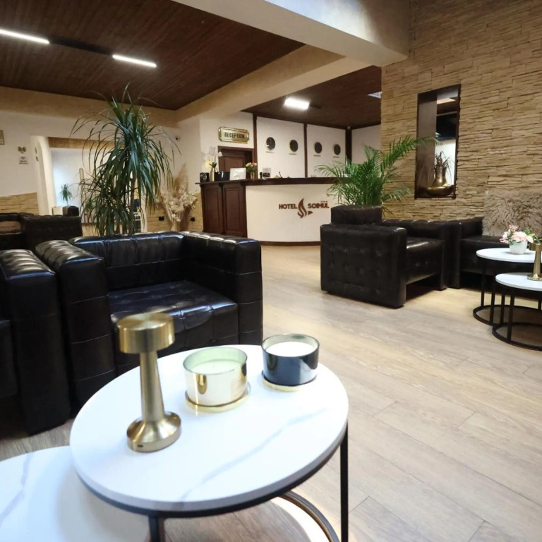 Hotel Soimul