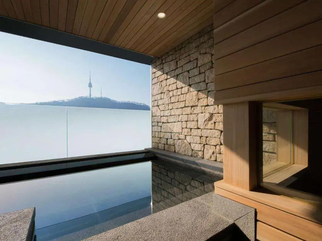 ibis Styles Ambassador Seoul Myeong-dong