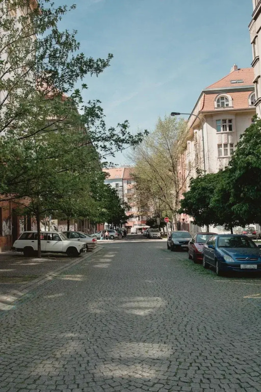 Comfortable Zizkov Apt for 6 pax easyBNB