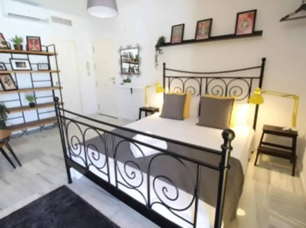 Del Parque Flats Estudio Solarium Molinillo