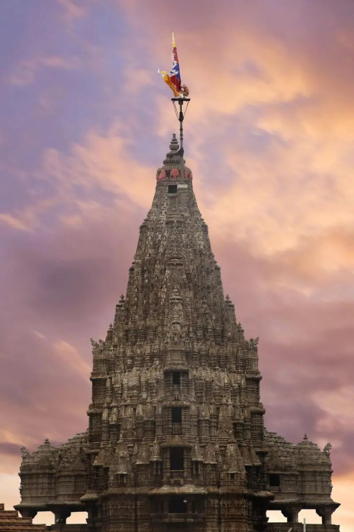 Ginger Dwarka