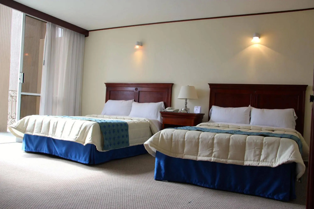 Hotel Tehuacan Plaza