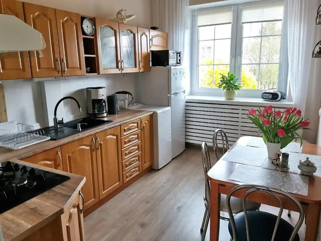 Apartament z widokiem na jezioro Ukiel