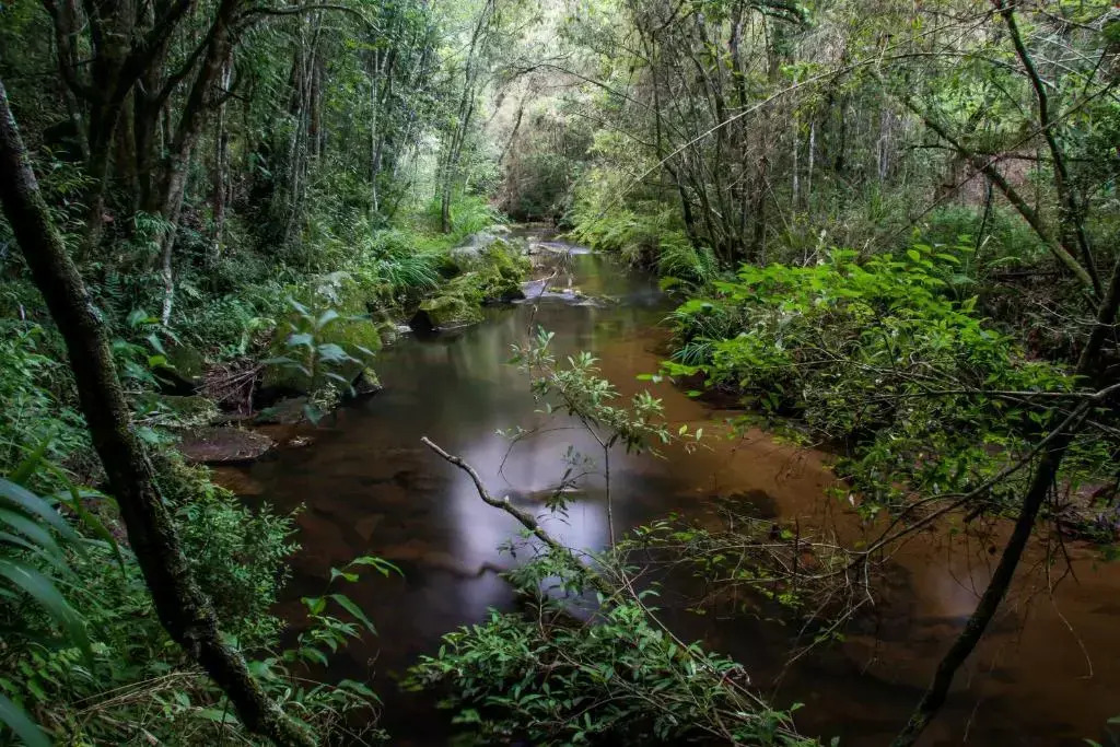 BARRA do BIÉ SUÍTES