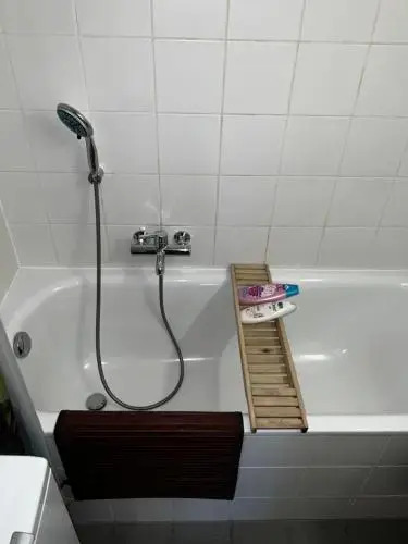 Beautiful Large Studio in center of Geneva Free Wifi