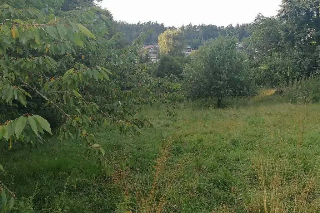 Villa Hinterland