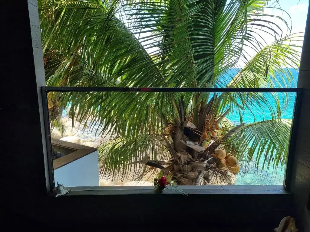 Marquise & Infinity villas