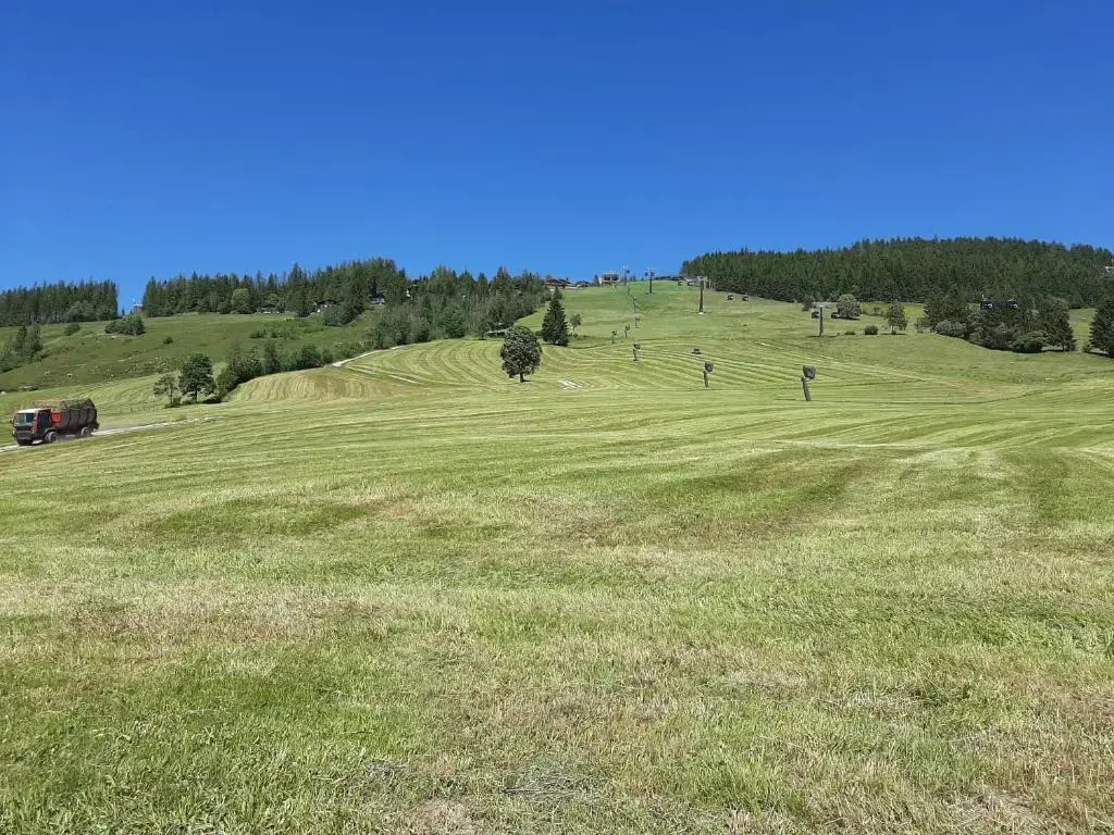 BIO-Bauernhof Hatzbauer