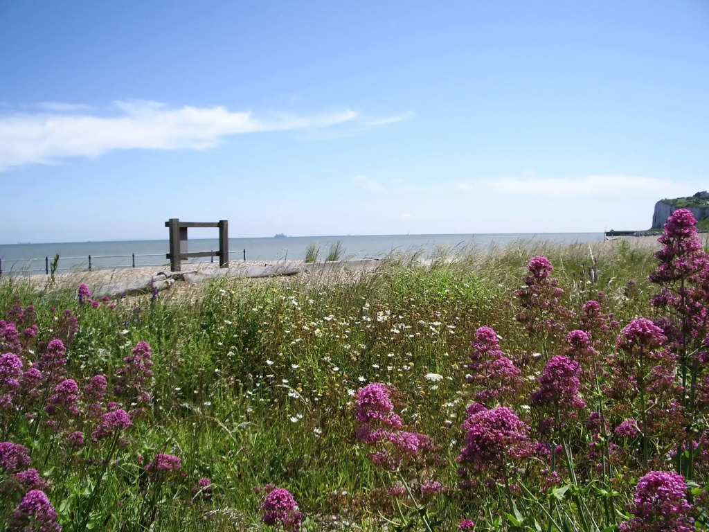 Mariners Cottage by Coaste
