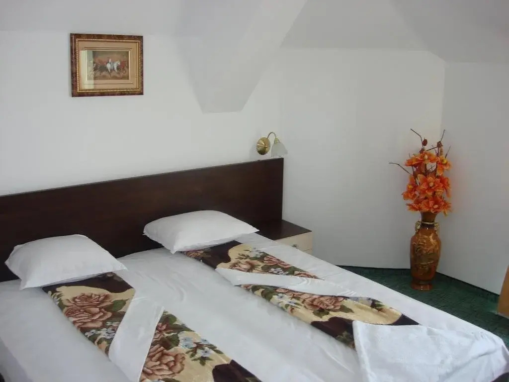 Hotel Vanini