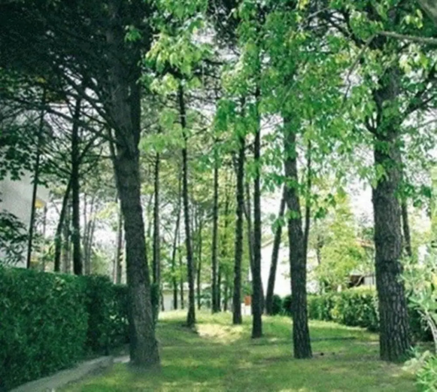 Lovely and Elegant Residence Near the Beach in Lignano