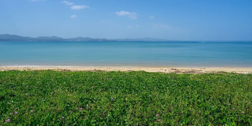 Onna Resort