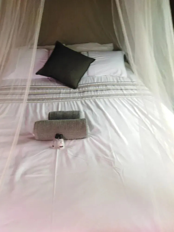Buffalo Tented Lodge
