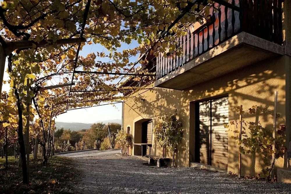 Vineyard Cottage Brodaric