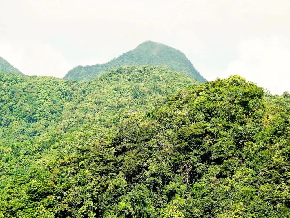 Calabash Mountain Villa