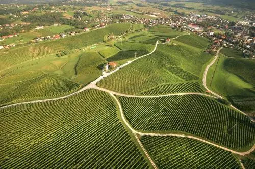 Wine Growers Mansion Zlati Gric