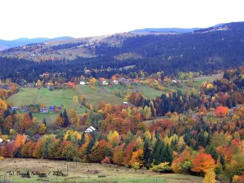 Sadyba Vedmezha Gora