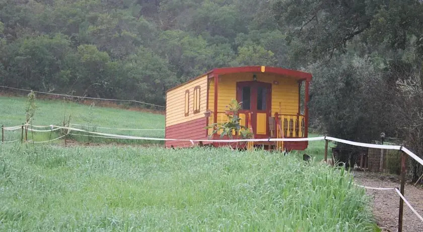 Horta da Varzea