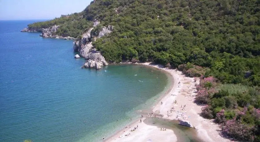 Acar Pension