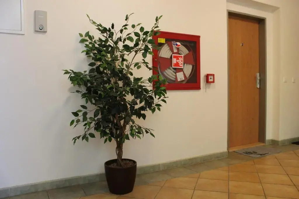 Apartment Promenada