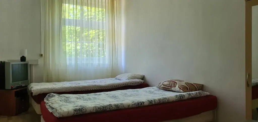 Palangos Kopa