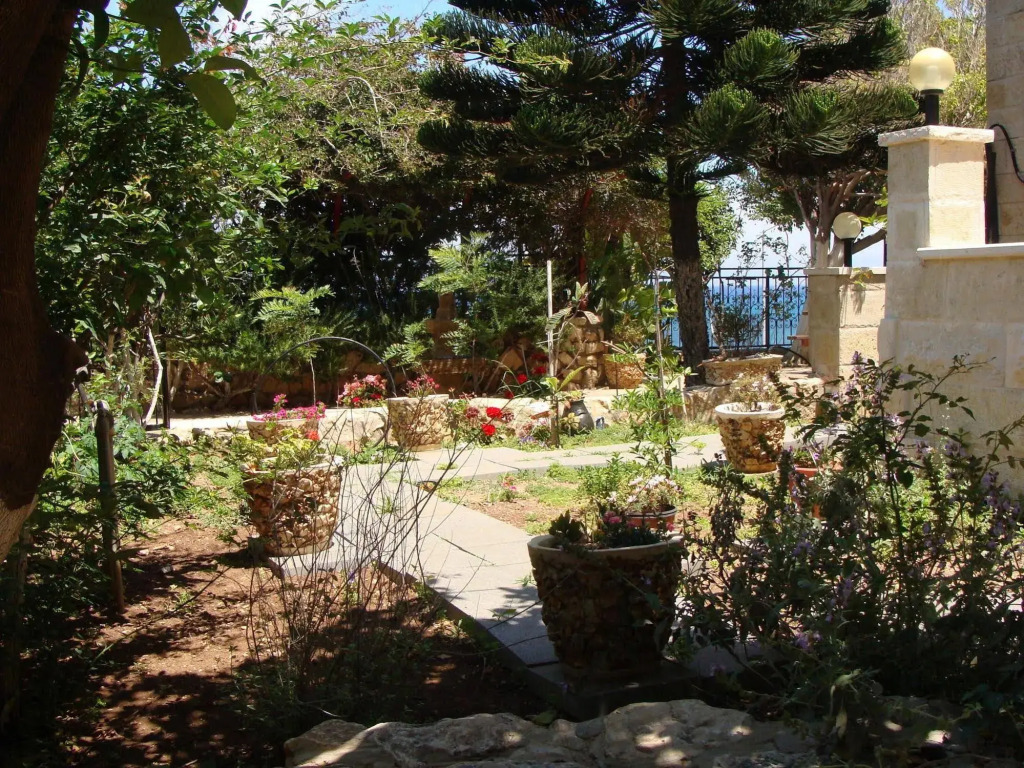 Tamer Guest house