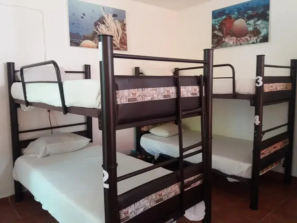 Loft 10 Hostel