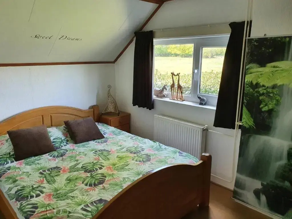 B&B Schoonloo - natuur, ruimte & rust