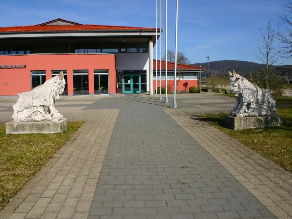 Willingen Frankenau in Frankenau